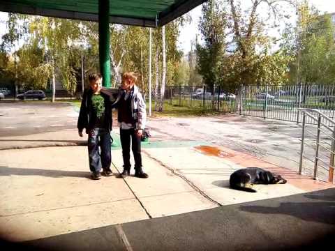 Топ 1 как поднять собаку