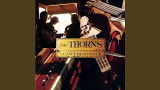 I Can&#39;t Remember (Alternate Mix)