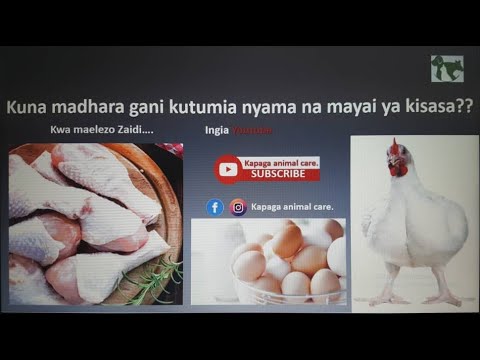 , title : 'Kuna madhara gani kutumia mayai/nyama ya kuku wa kisasa l Madhara ya Broiler? l Mwili kunenepa?.'