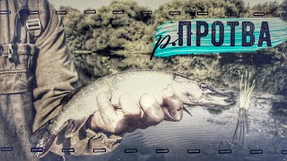 Закон о рыбалке в калужской области 2019