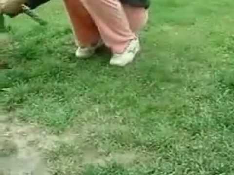 Dinas Affaraon Baast