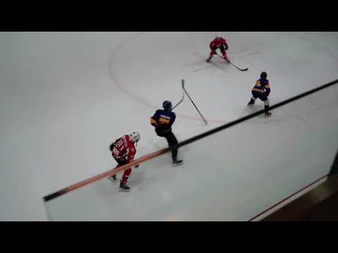 HC Vipers - HC Tornaado