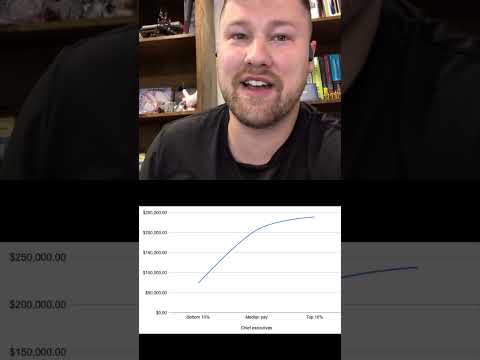 chief executives 2024 Pay #salary #income #pay #ceo #toppay #stats