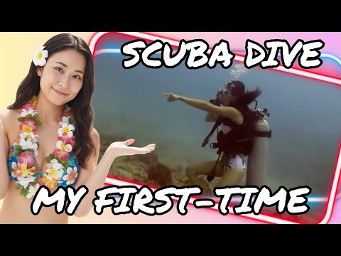 A huge Hawaiian Green Sea Turtle swims gracefully in the clear water above the coral reef at Horseshoe Reef in Oahu.