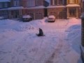 Sledding by Jeff