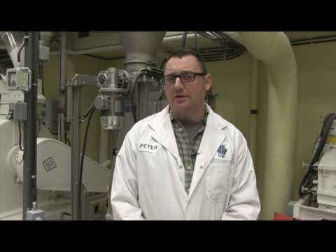 download lagu mp3 mp4 Roasted Pulses, download lagu Roasted Pulses gratis, unduh video klip Roasted Pulses