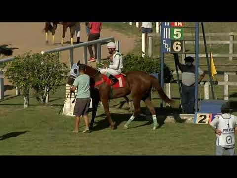 SINT MELO 210311_c05 1° LA OLIMAREÑA