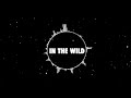 In The Wild - Capital Kings (Lyric Video) HD 