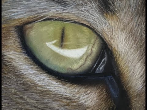 Painting a Photorealistic Pastel Cat Eye (Pastel Pencil Timelapse)
