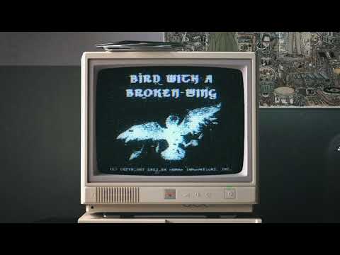 Video thumbnail for Bird with a Broken Wing