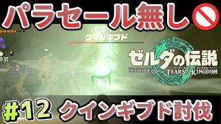 【ティアキン】パラセール禁止 (12) クィンギブドもゾナウギアで弱体化！【Tears of the Kingdom】