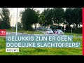 Schietincident met minderjarige in Coevorden & verwoestende brand in Gasselternijveen | Drenthe Nu