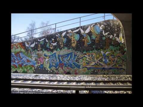 Skim-Simpel und Reif- 2015 neu