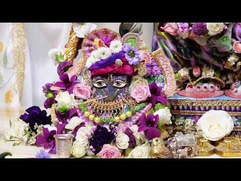 Dhoop Arati | Govardhan Abhishek | Govardhan Puja Festival 2025