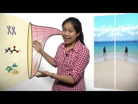 3MT Finalist 2020: Chloe Yap - From molecules to the mind: autism biology from big data