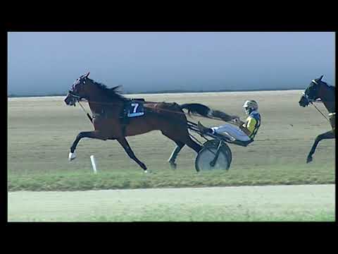 Napoli Trotto 07/09/2021 - 4ª corsa