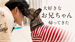     【保護犬】大好きなお兄ちゃんが帰省。いとの反応が尊すぎた…