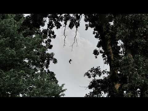 Saba ft. 6LACK and Smino — Still (Official Audio)