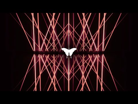 88 Butterfly | Patra Aftermovie