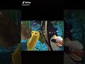 Funny Nemo Meme