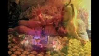 The Tear Garden - Counting Zeroes