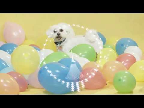 S!D & DJ MILLER - HEY HOW YA DOIN' (MICROWAVE MONKEYS REMIX)