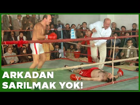 En Büyük Şaban Türk Filmi | Boksör Şaban Yeri Öpüyor!