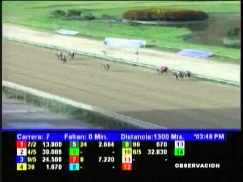 Resumen Domingo, 08 de Diciembre de 2012 - La Rinconada