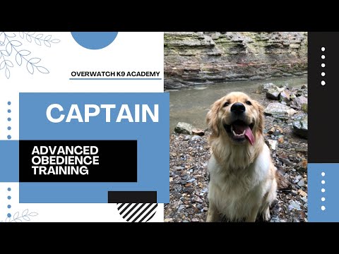 OverWatch K9 Academy video.