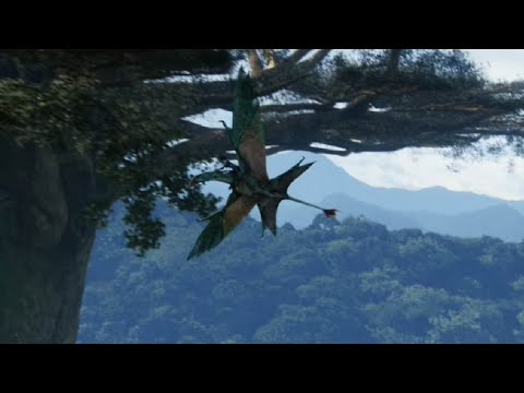 Avatar (2009) - Neytiri flying an ikran