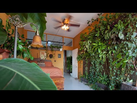750+ Houseplant Tour (Bedroom — Part III) — Plant One On Me — Ep 092