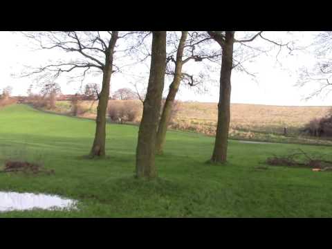 MongoTV_674 - Del 2 - John Går Tur Juledag 24.December 2015