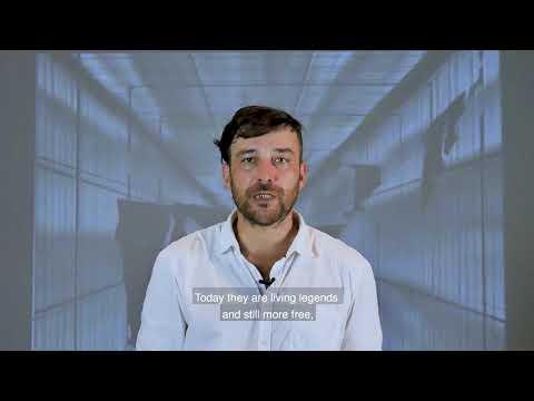 Vašulka Kitchen Brno