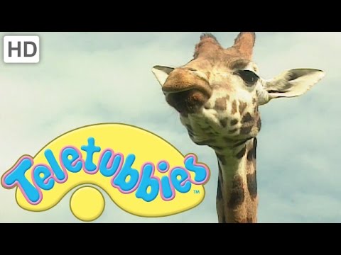 Teletubbies | Giraffe | Official Classic Full Episode