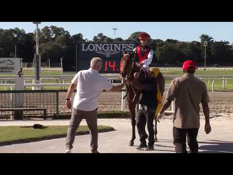 220508 c01 - ES-UNICO (BRZ)  -  CLASICO  Lavalleja - HIPODROMO MAROÑAS