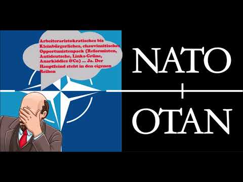 W.I. Lenin - Der Imperialismus und die Spaltung des Sozialismus [ Hörbuch ]