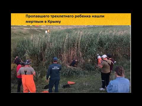 Пропавшего трехлетнего ребенка нашли мертвым в Крыму