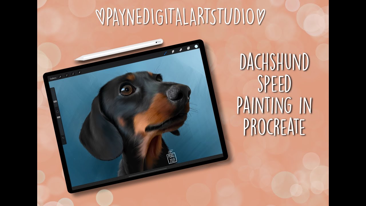 Drawing a Dachshund in Procreate