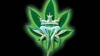 Kottonmouth Kings - Think For Yourself