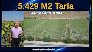 x 5.429 M2 Satılık Tarla Susurluk Ümiteli  0 ada 2184 parsel. 5.950.00
