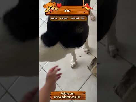 Vídeo de Bela