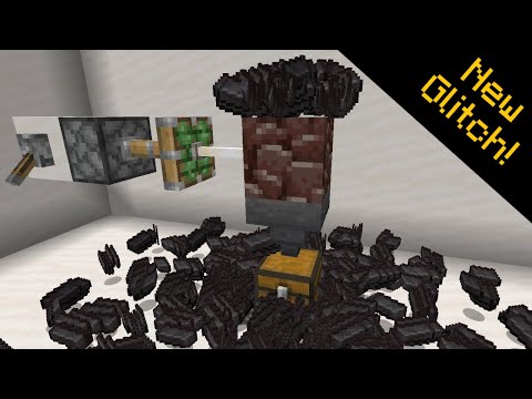 13 WORKING GLITCHES in Minecraft 1.16.5