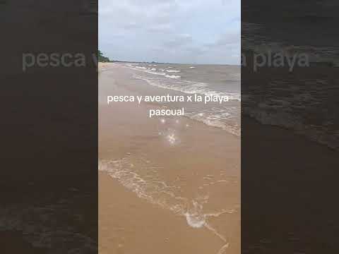 pesca y aventura playa pascual San José Uruguay #pesca #fishing #playa #aventura #viral