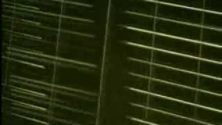 Roger van Lunteren - Rainy Autumn Sunrise (Video Version)