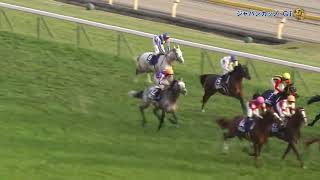【独自実況】第38回ジャパンカップ