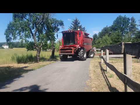 Mähdrescher Case IH CF 70