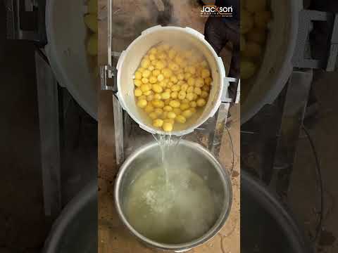 Electric Rice Cooker