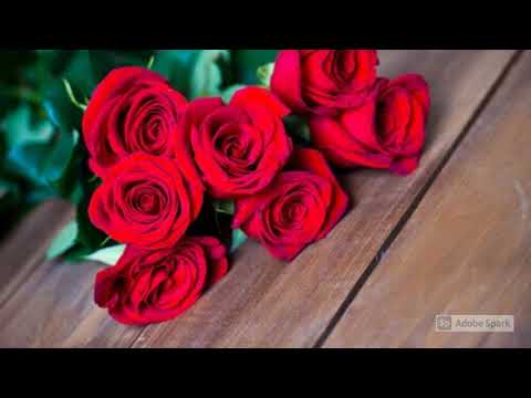 I Adore Her - The Walkers