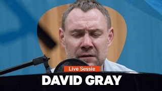 David Gray - Gulls (Radio 1 Live Sessie)