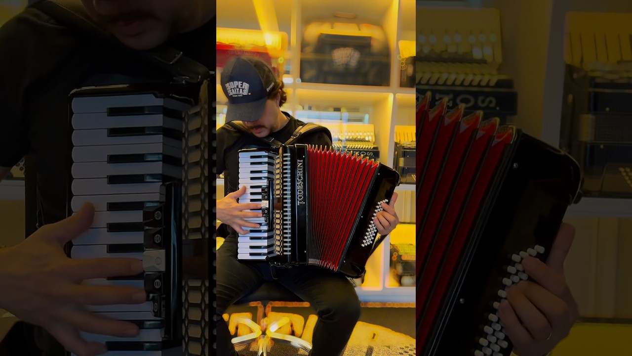 Acordeon Chinês Todeskini 3/4 Voz 48 Baixos Leve e Completo